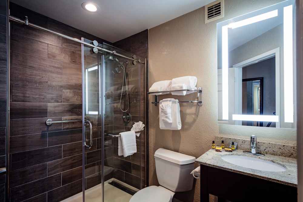 Best Western Plus Greenville I-385 Inn & Suites 19/53