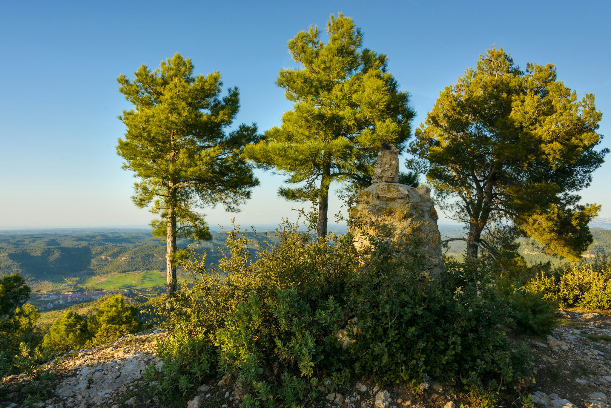 Torre del Marques 44/50