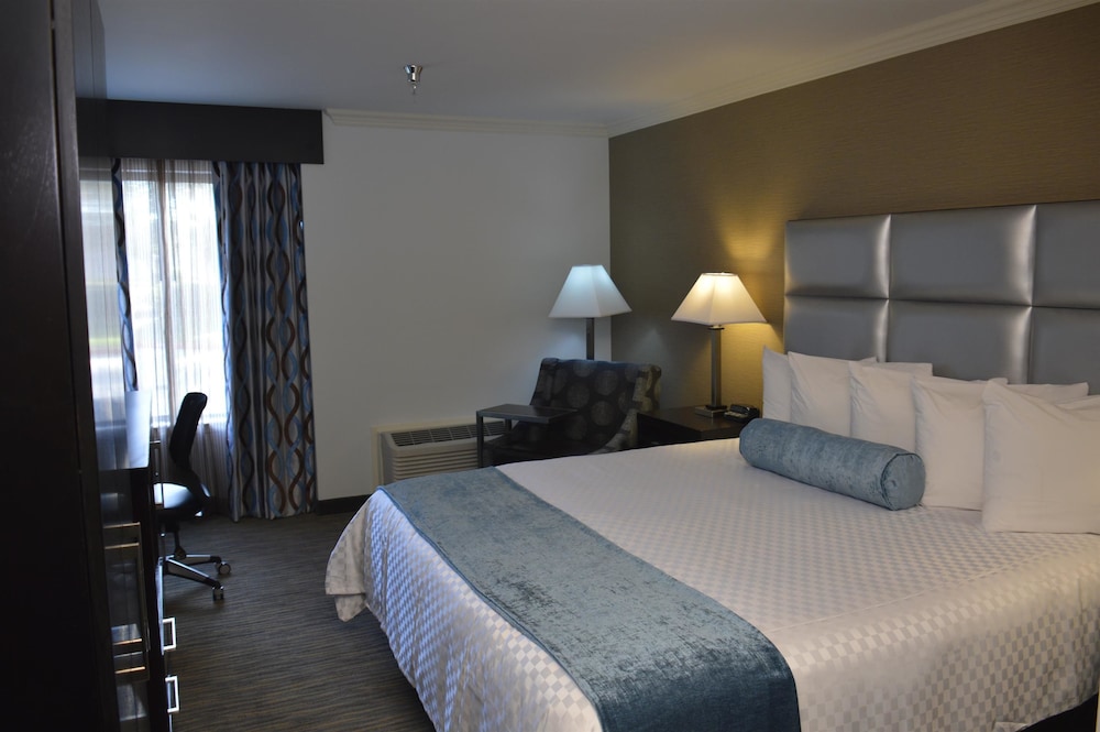 Best Western Webster Hotel, Nasa 14/50