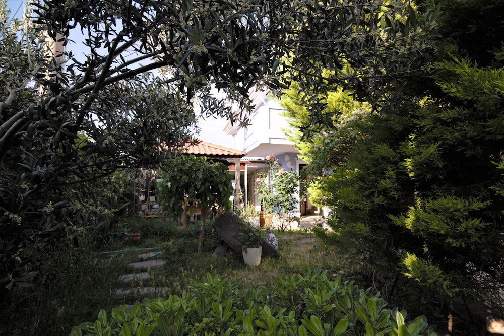 Cundavilla 39/50
