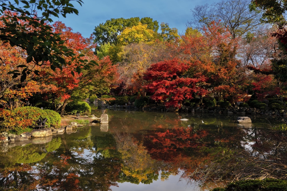 Omo3 Kyoto Toji by Hoshino Resorts 44/50