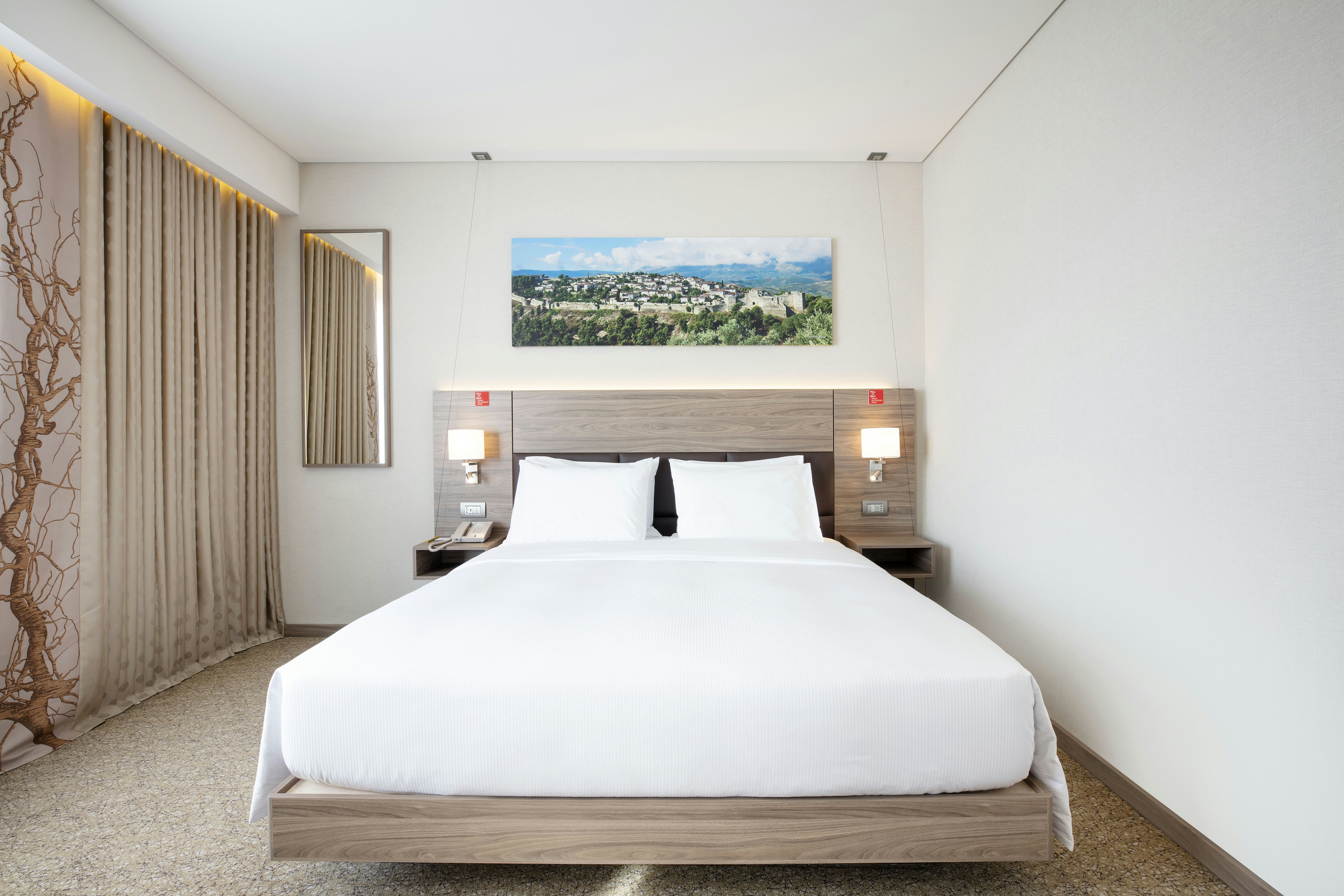 ROOM, KING BED, ACCESSIBLE