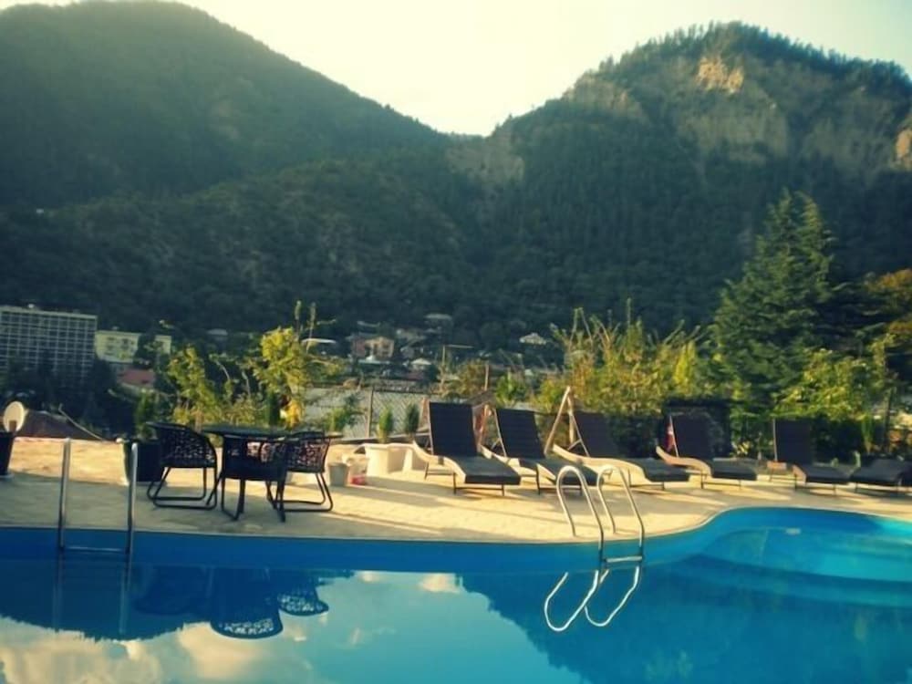 Borjomi Palace Hotel and Spa 44/50