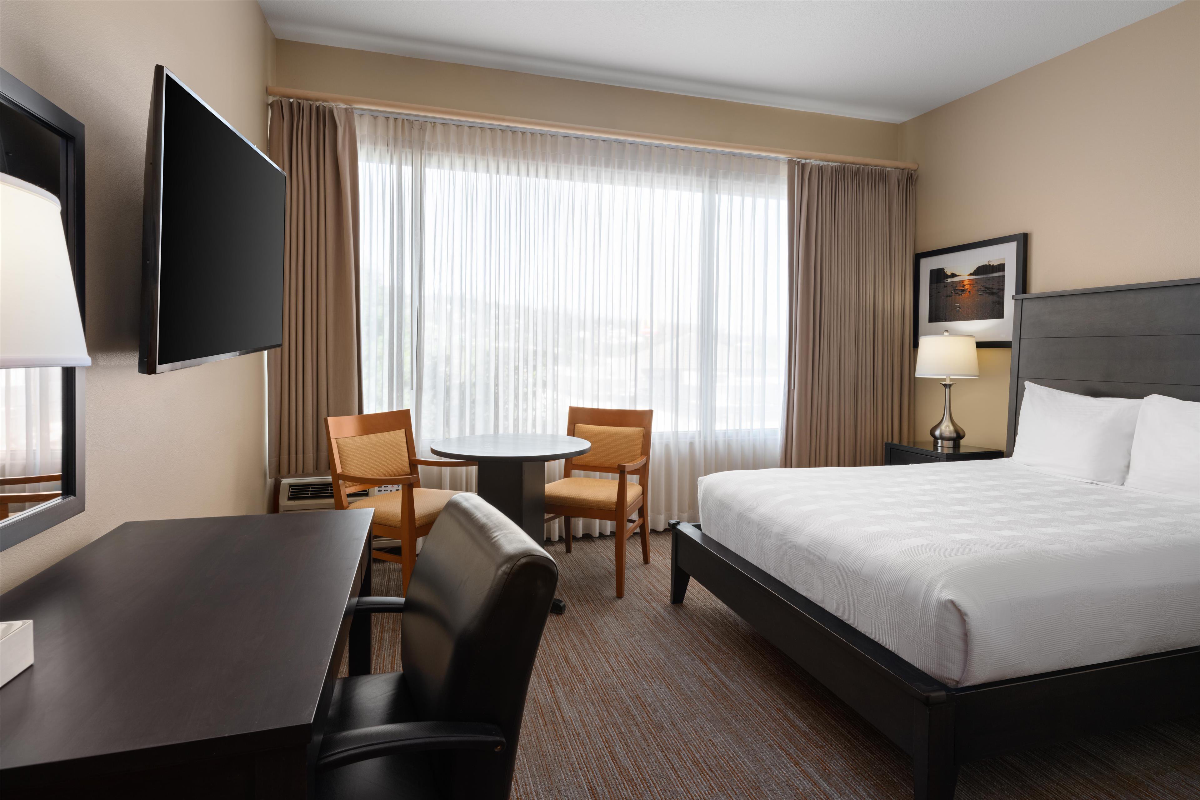 Economy, Queen Bed, Executive Level, Adult Only