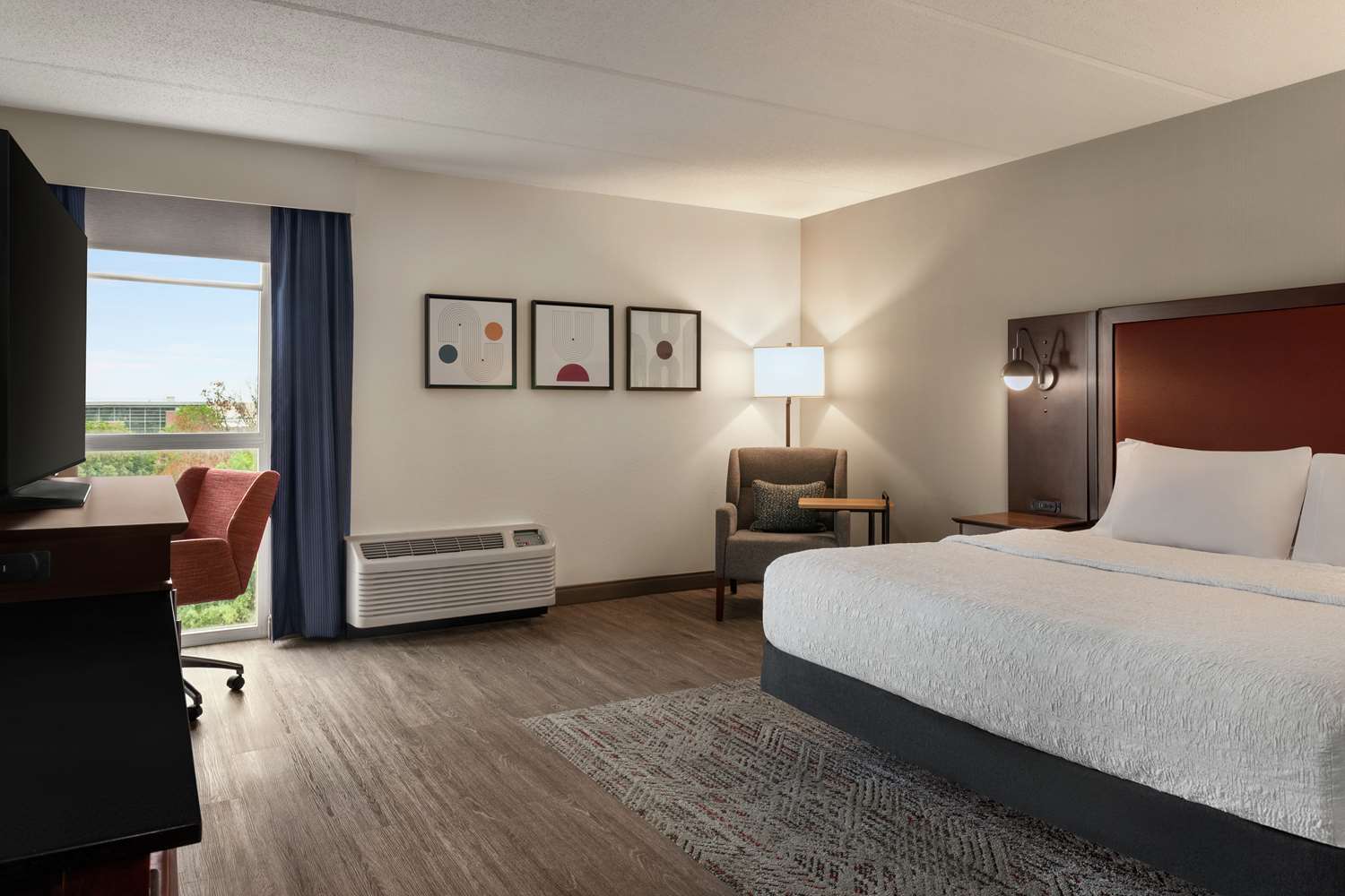 Room, King Bed