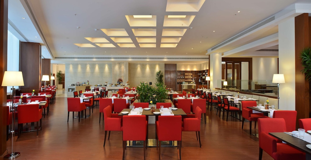 Park Plaza Chandigarh Zirakpur 31/50