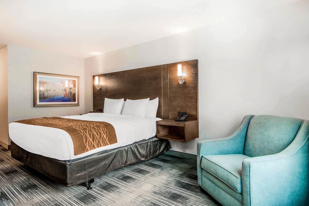 Comfort Inn & Suites East Ellijay, GA 12/41