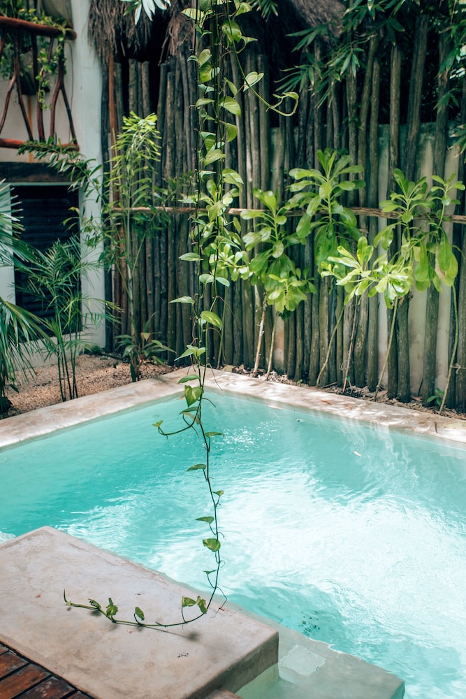 Orchid House Tulum 25/50