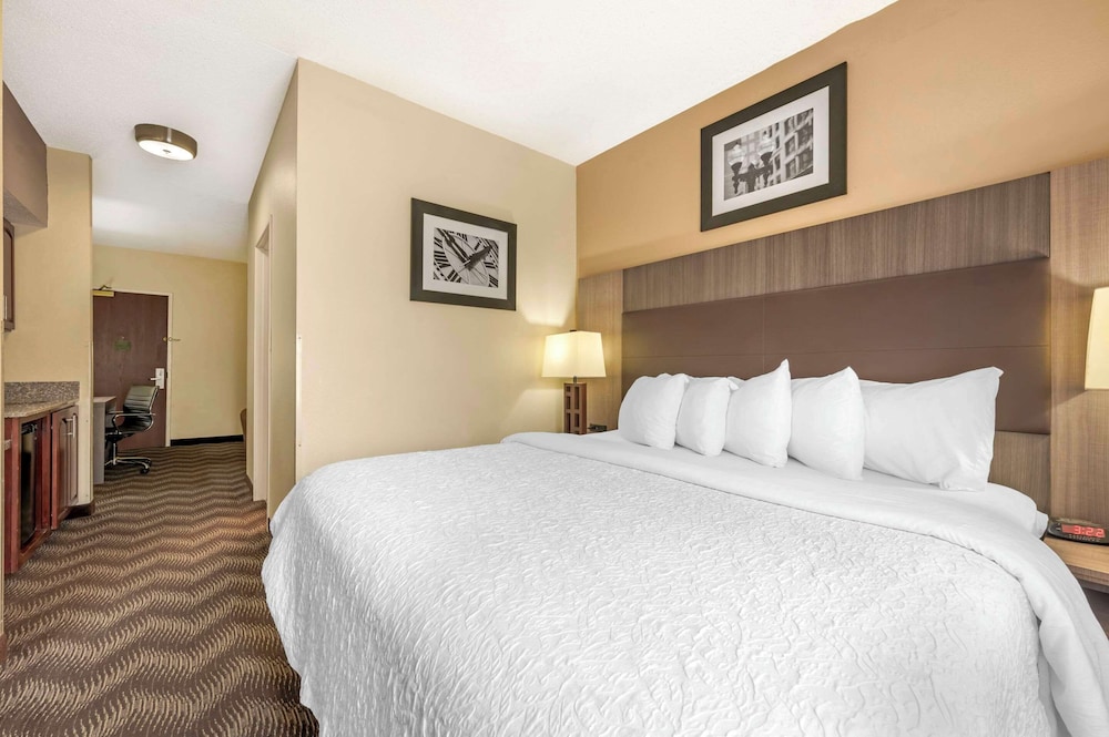 SUITE, KING BED
