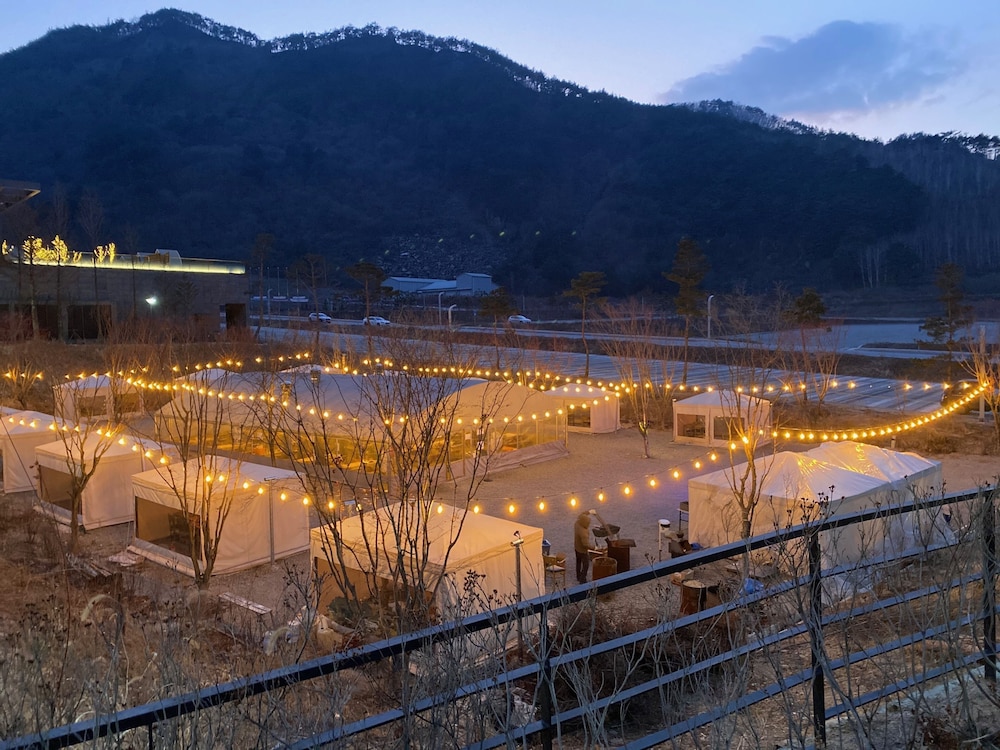 Pine Forest Jeongseon Alpine Resort 32/44