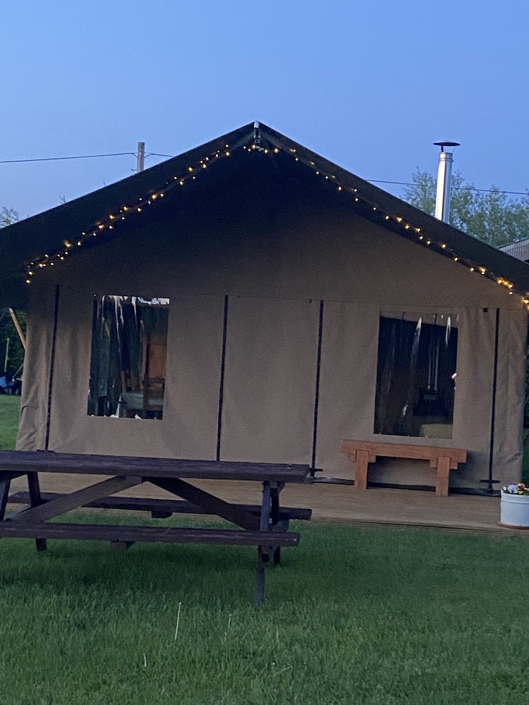 Dawn Chorus Holidays 1/50