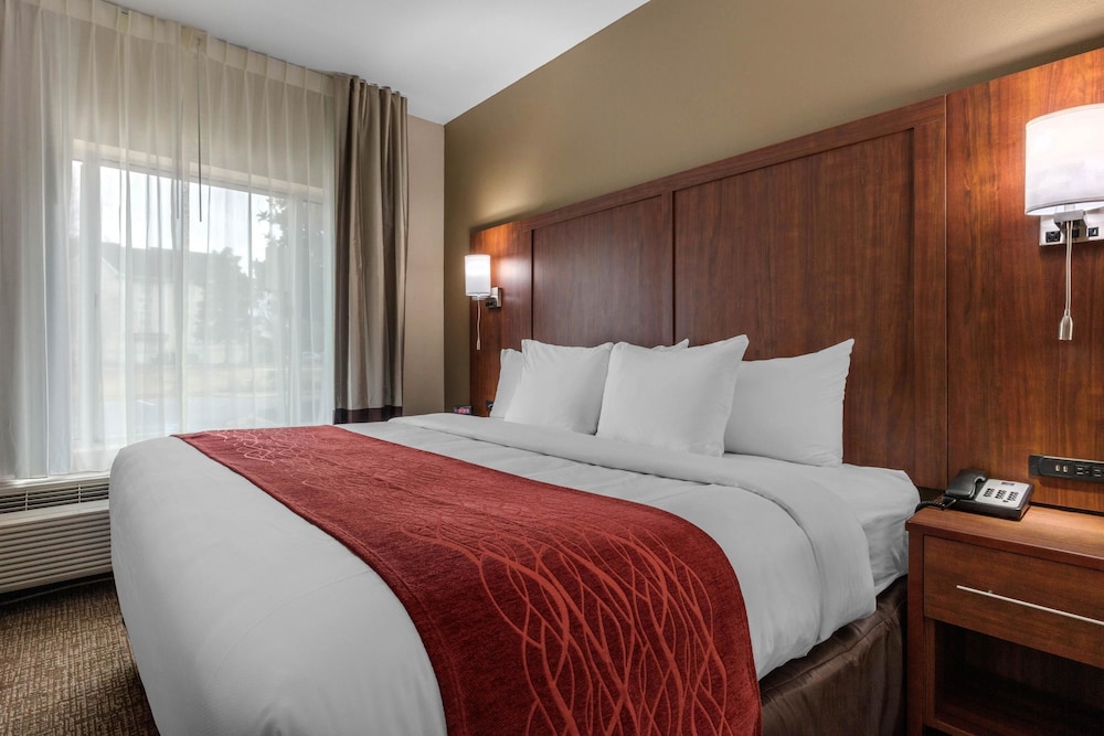 Comfort Inn and Suites Montgomery East Carmichael Rd 13/54