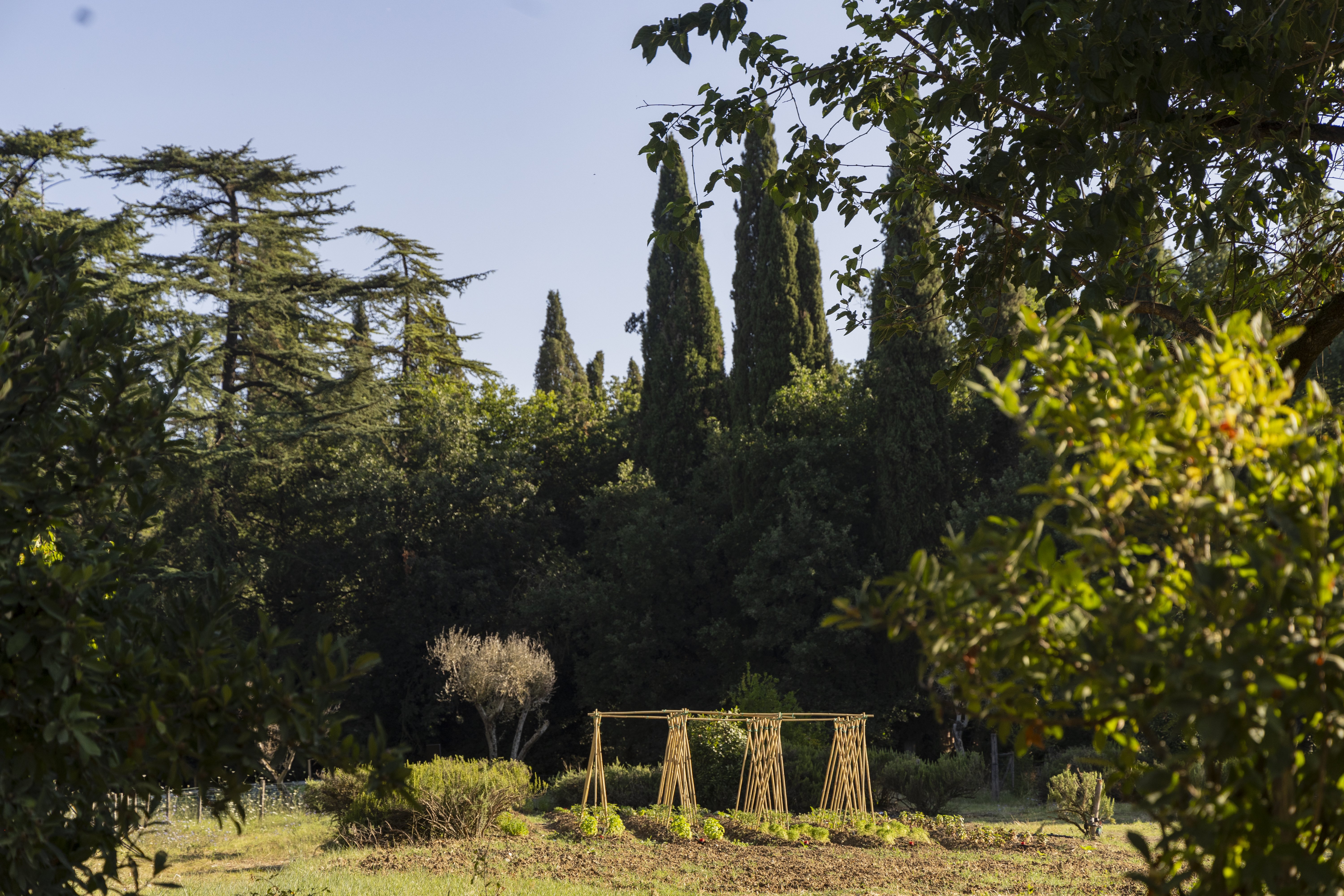 Borgo dei Conti Resort 79/89
