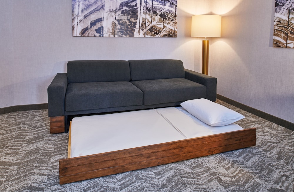 SpringHill Suites Detroit Dearborn 8/17