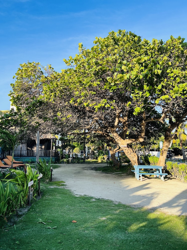 Hotel Del Rio 68/73