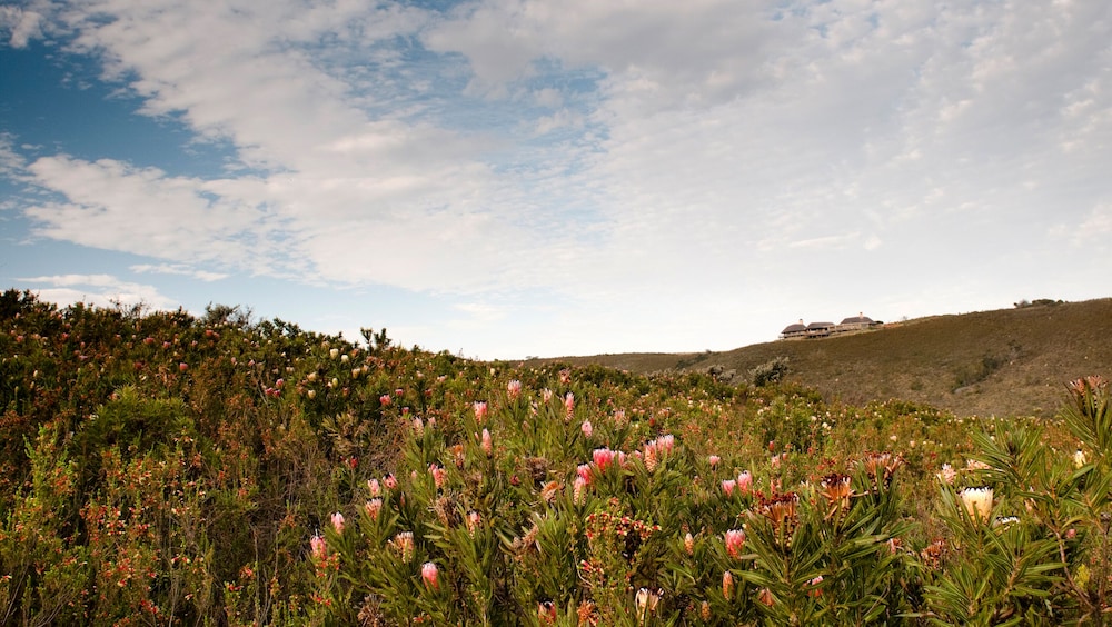 Gondwana Game Reserve 43/50