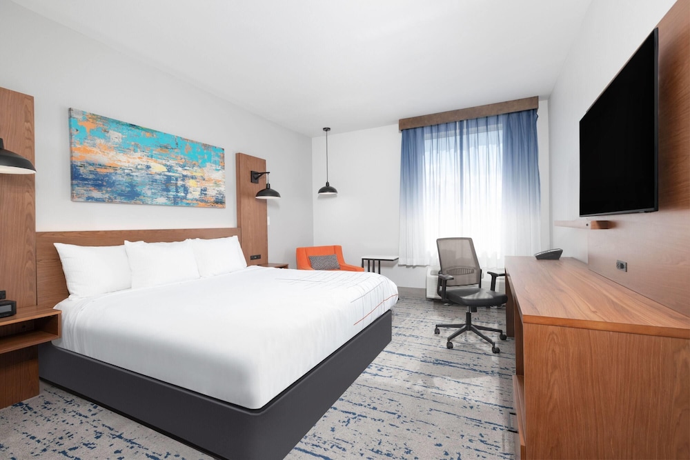 Room, King Bed