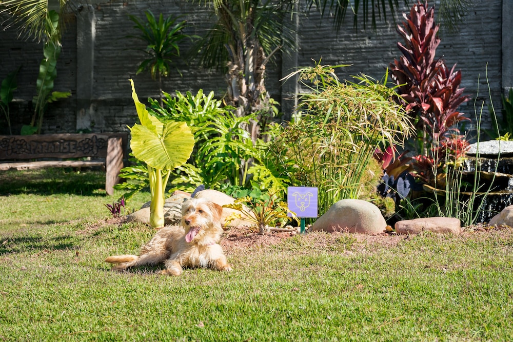 Makkai Resort Bombinhas 27/37