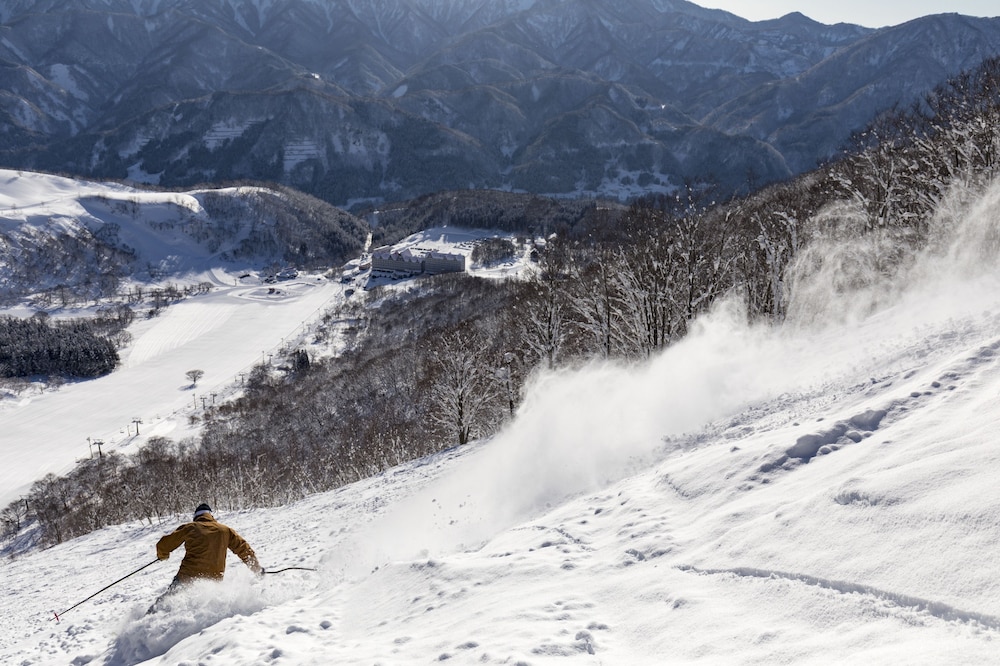 Hotel Green Plaza Hakuba 47/50