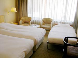Ex, Deluxe, Triple, Twin Beds, with Extra Bed