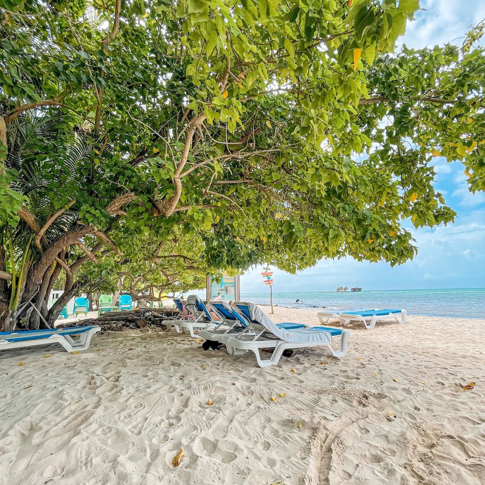 Hotel Cocoplum Beach 10/73