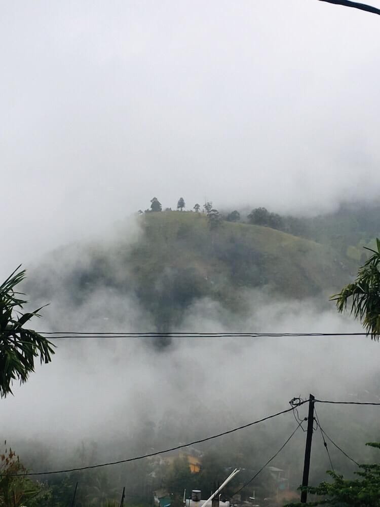 Adannz View 22/24
