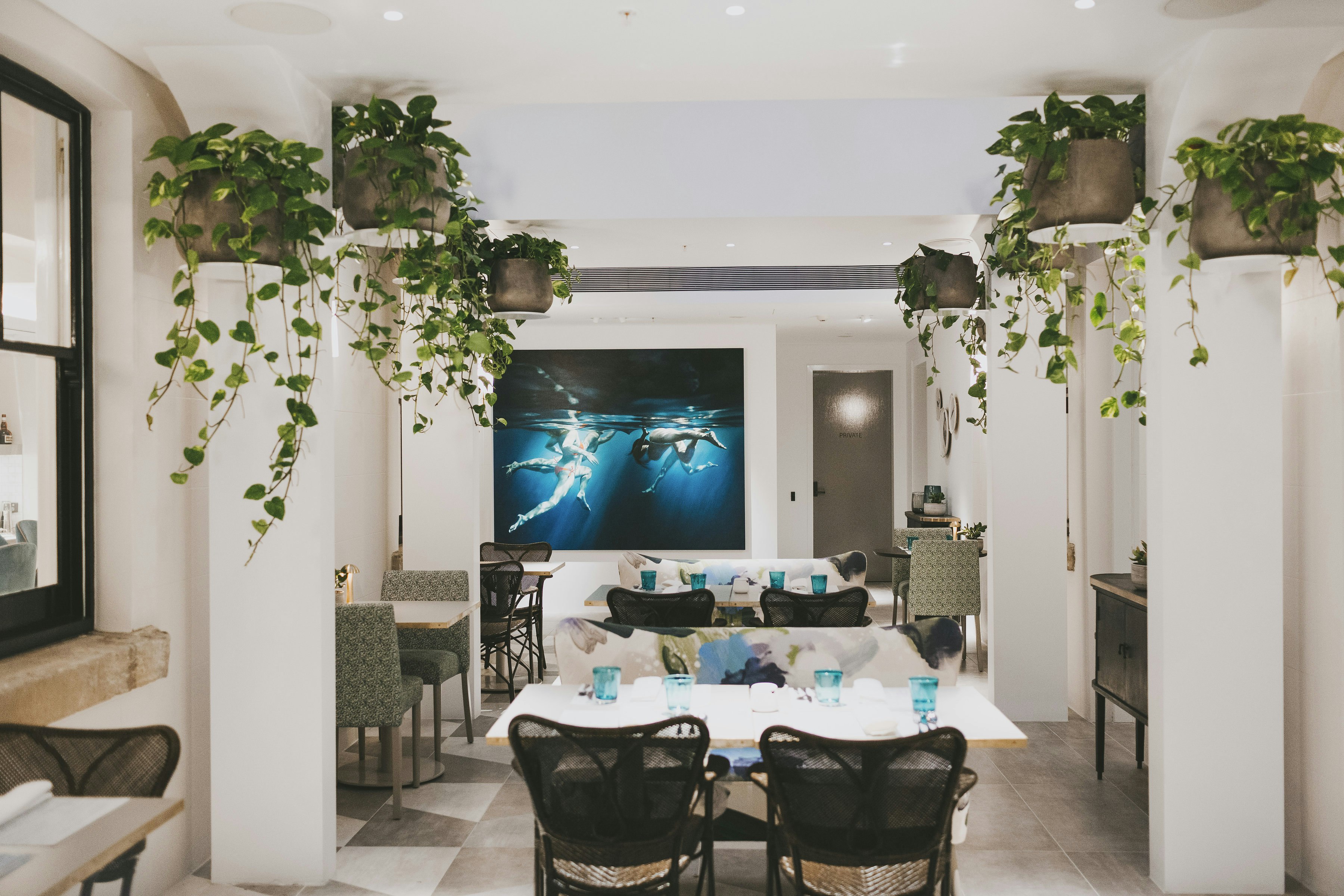 Spicers Potts Point 65/80