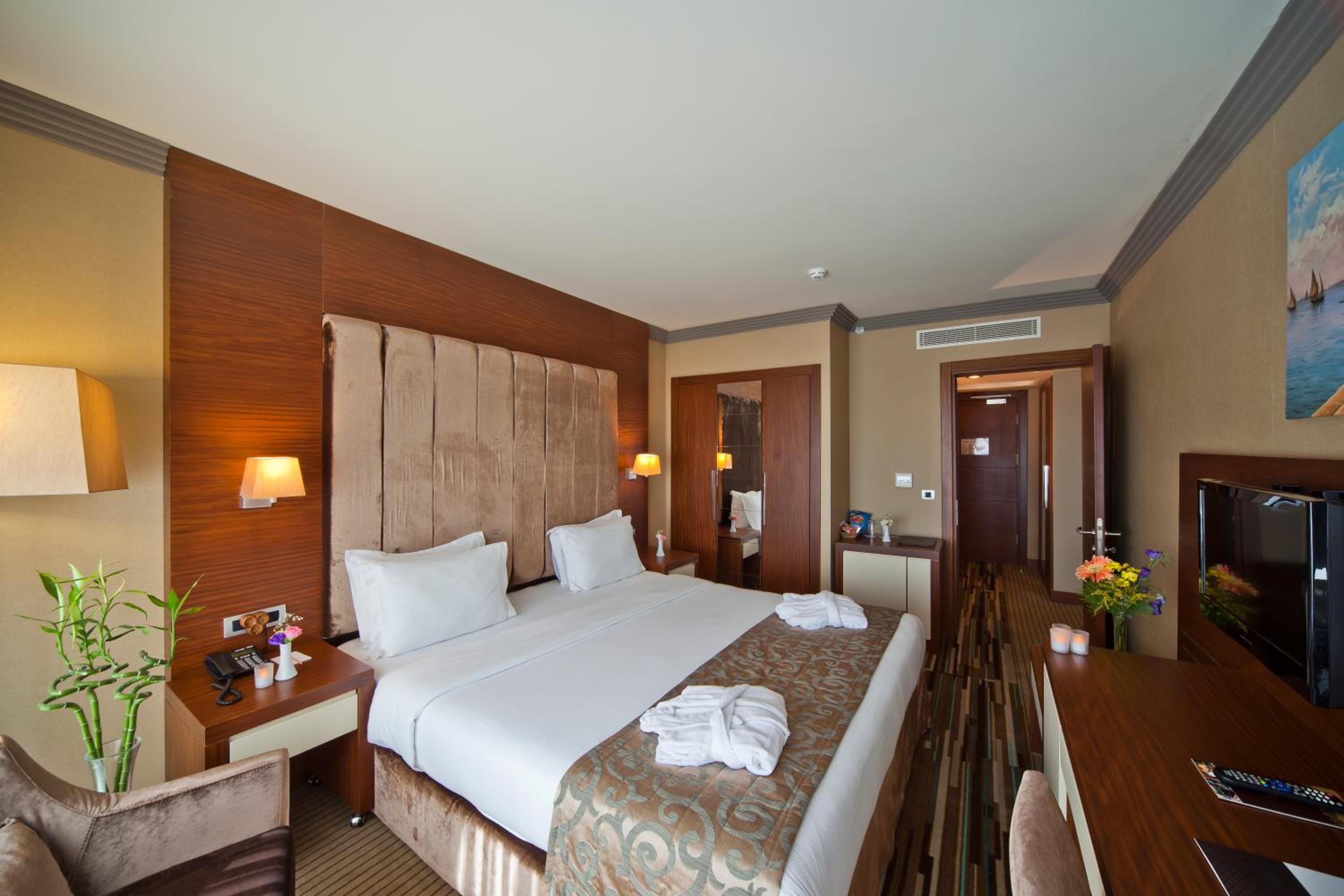 Superior, Double or Twin Bed, City View, VOLLEY HOTEL ISTANBUL 4/6