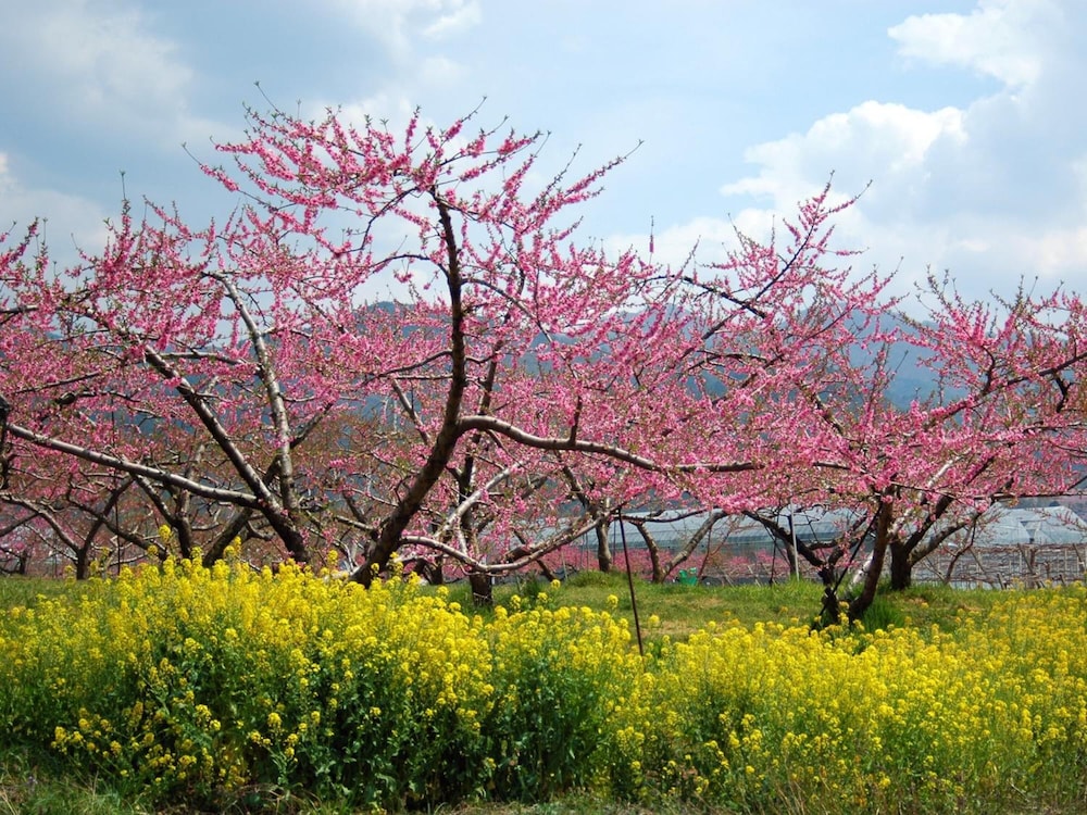 HOTEL HATTA YAMANASHI 41/49