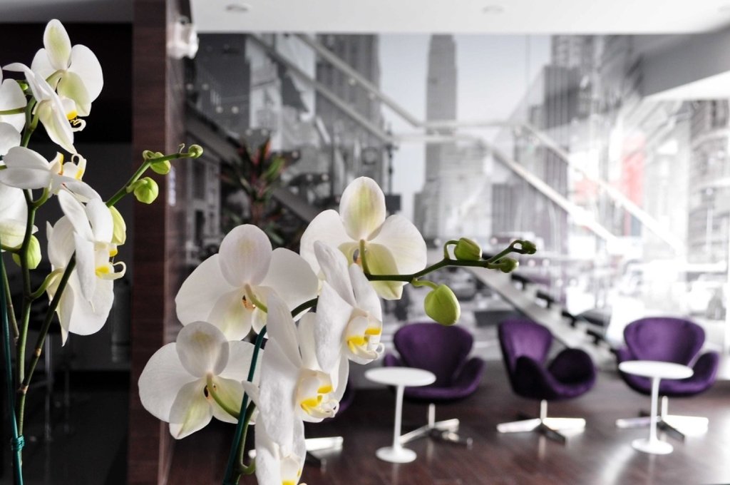 AKU HOTELS 56/69