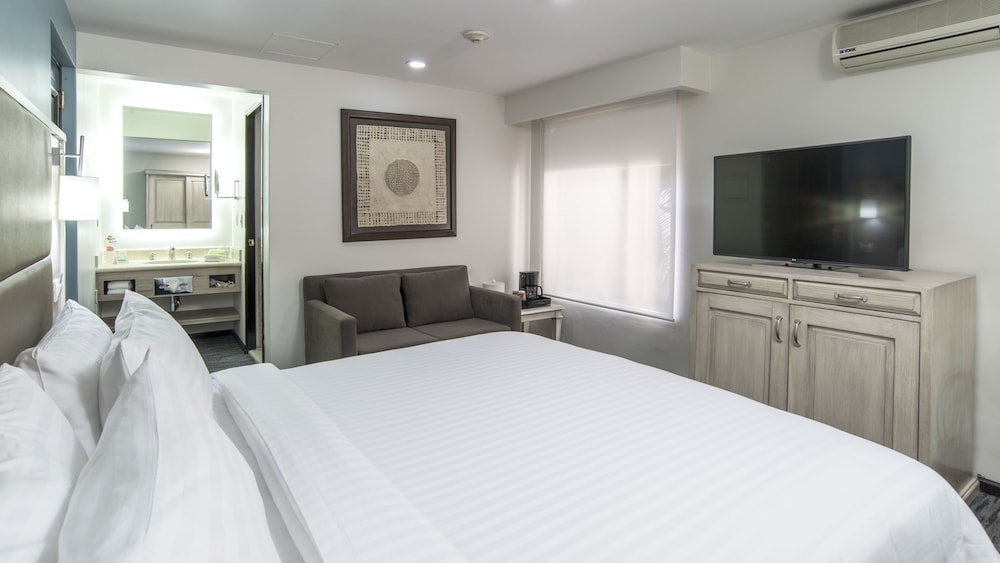 Holiday Inn Suites Mexico Zona Reforma An Ihg Hotel 9/50
