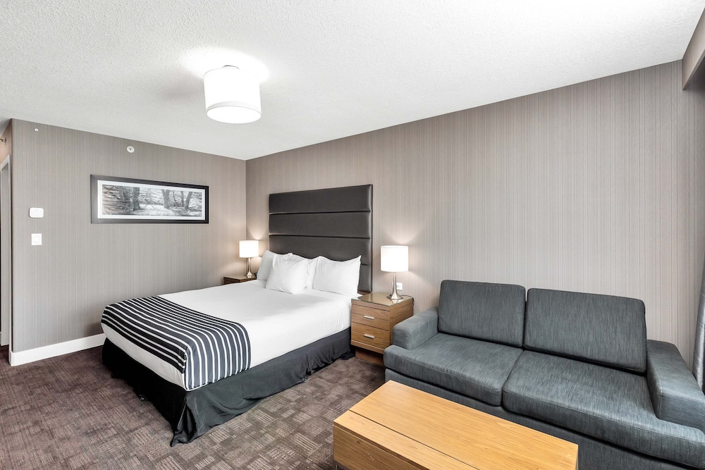 Sandman Hotel Grande Prairie 11/42