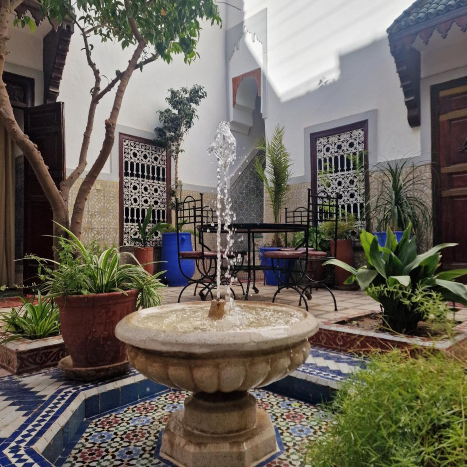 RIAD DALIA 28/43