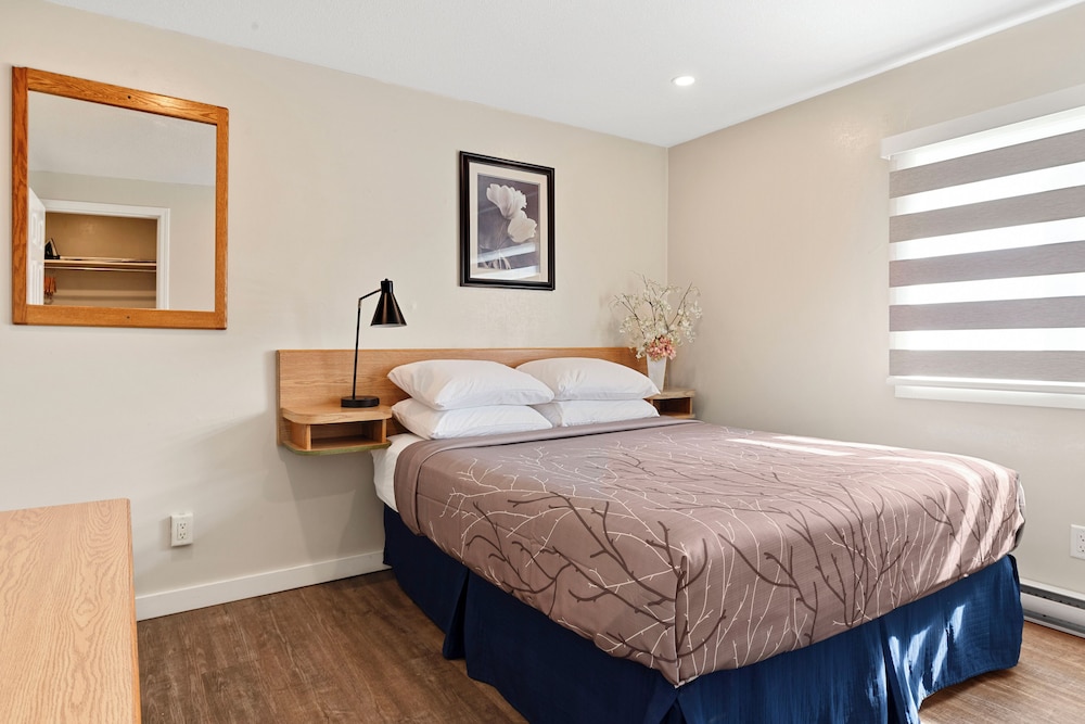 1 BEDROOM, KITCHEN