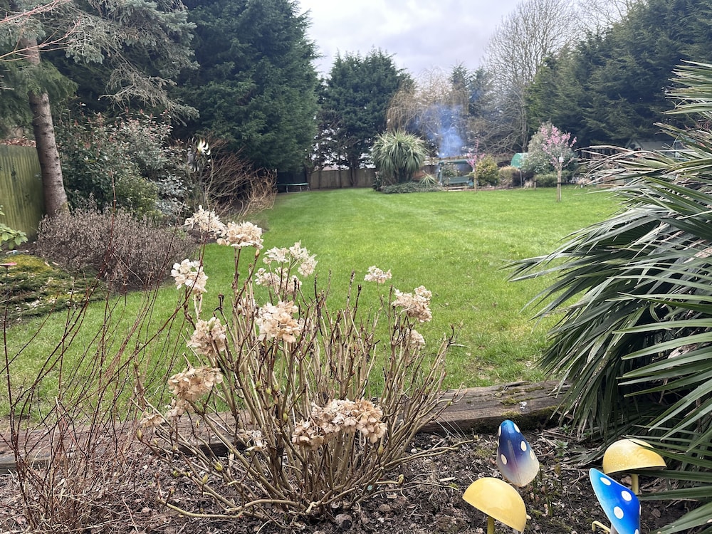 Beechwood B&amp;B 24/32