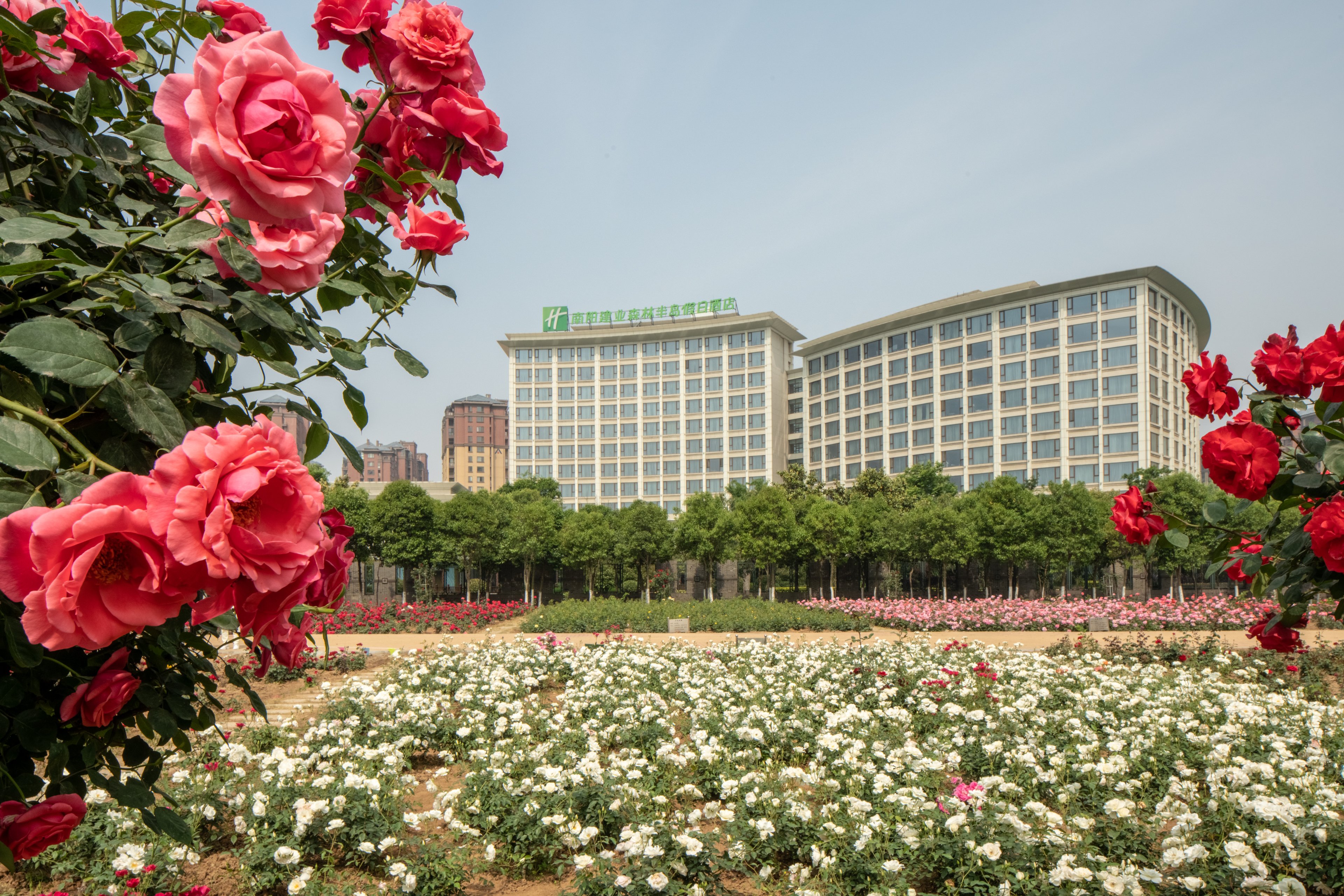 Holiday Inn Nanyang 6/38
