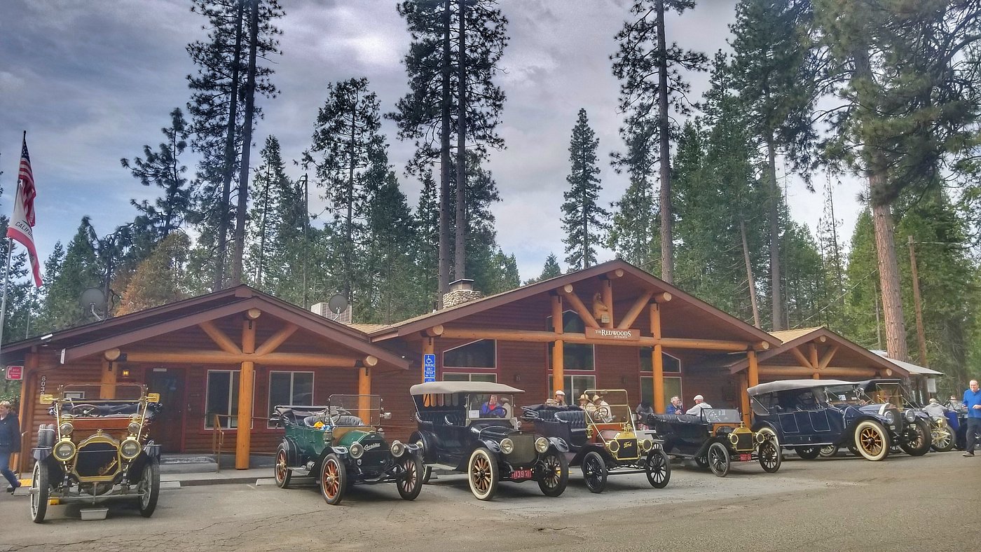 THE REDWOODS IN YOSEMITE 16/21
