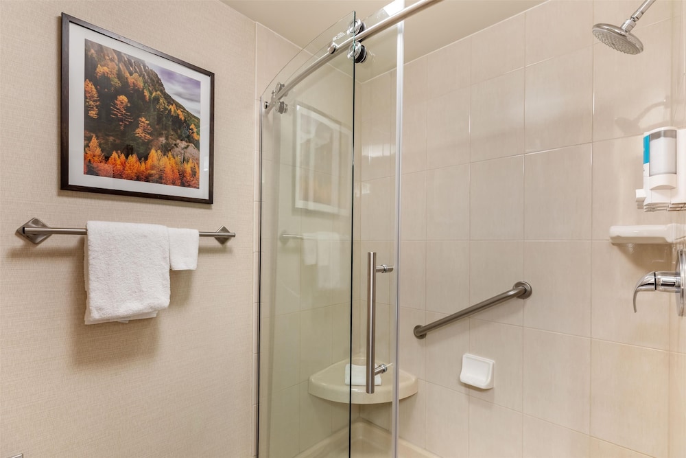 غرفة بسرير كينج، Drury Inn and Suites Denver Central Park 3/3