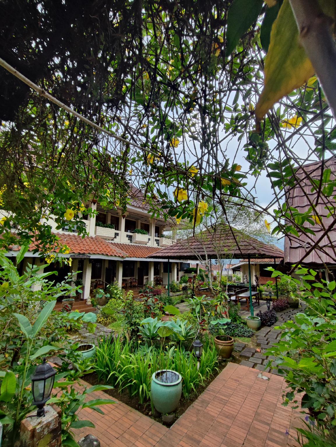 Taman Teratai Hotel 49/50