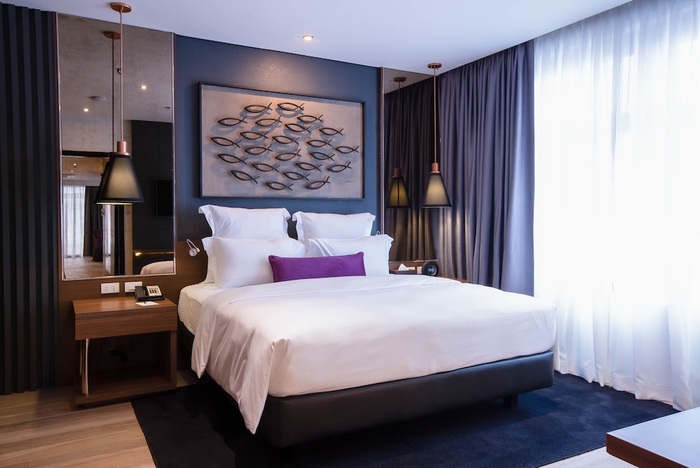 Coro Hotel 11/50