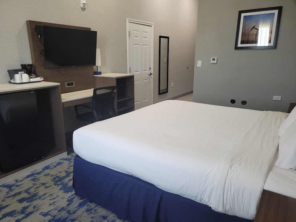 Baymont by Wyndham Carlsbad NM 22/47