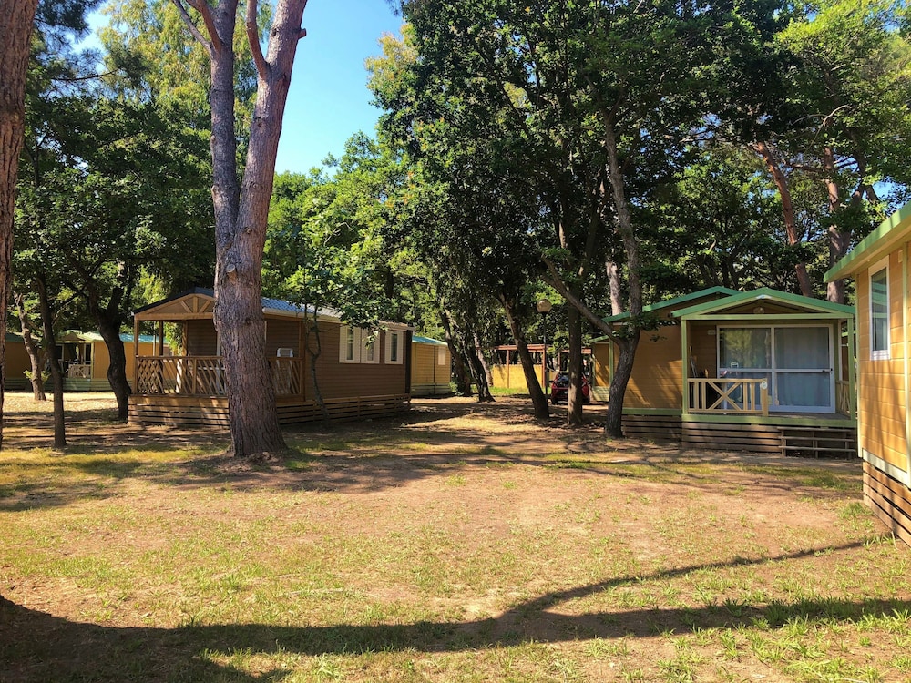 Camping Dolce Vita 39/50