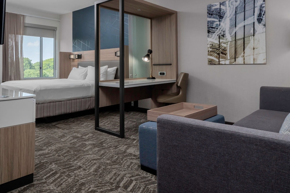 SpringHill Suites by Marriott Charlotte Huntersville 22/42