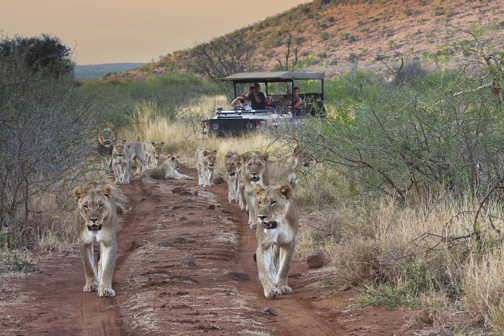 Tuningi Safari Lodge 42/50