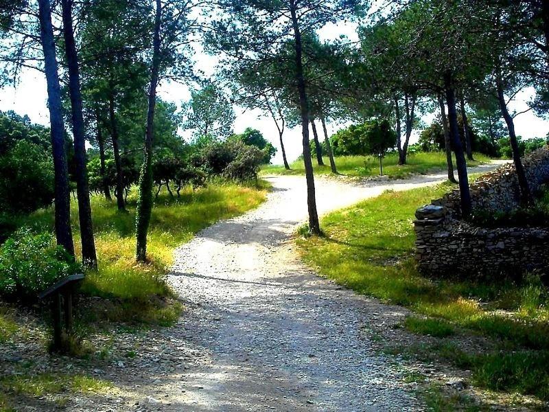 Bois Des Espeisses Hotel 26/32