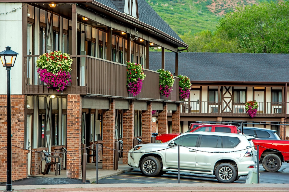 Silver Spruce Inn 35/50