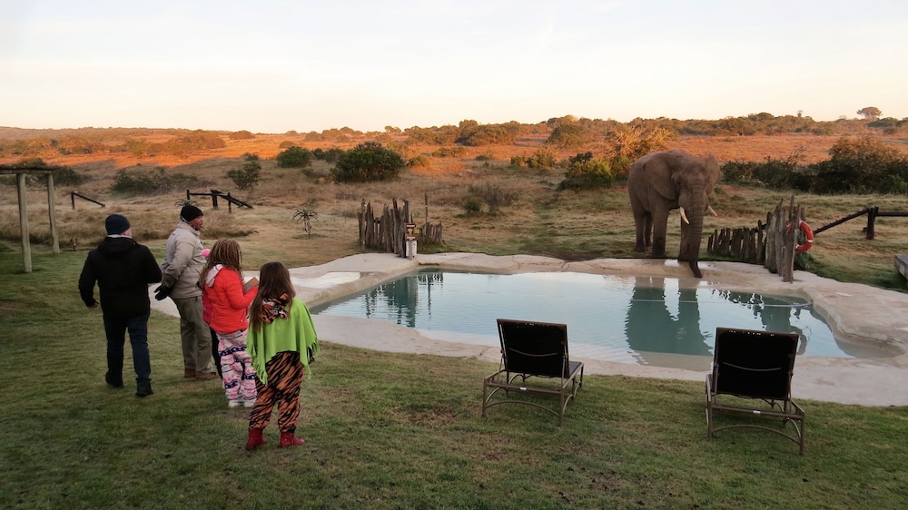 Hlosi Game Lodge 66/73