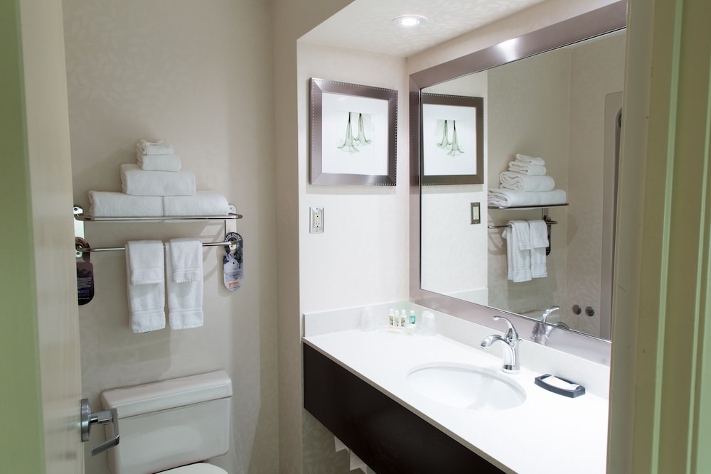Holiday Inn Suites Windsor Ambassador Bridge 19/72