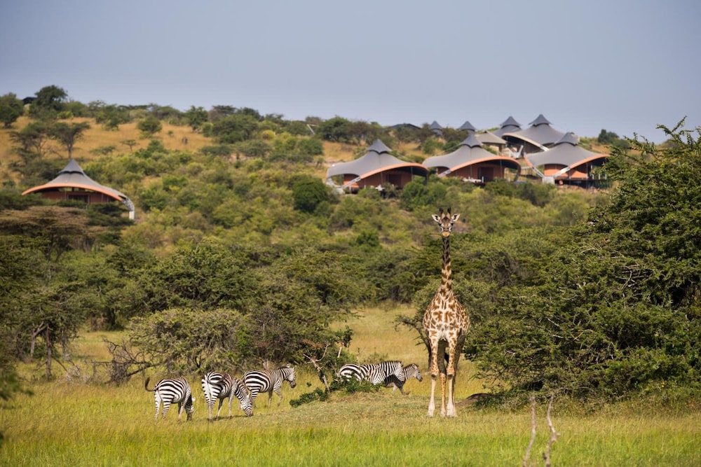 Mahali Mzuri - All-Inclusive 27/32