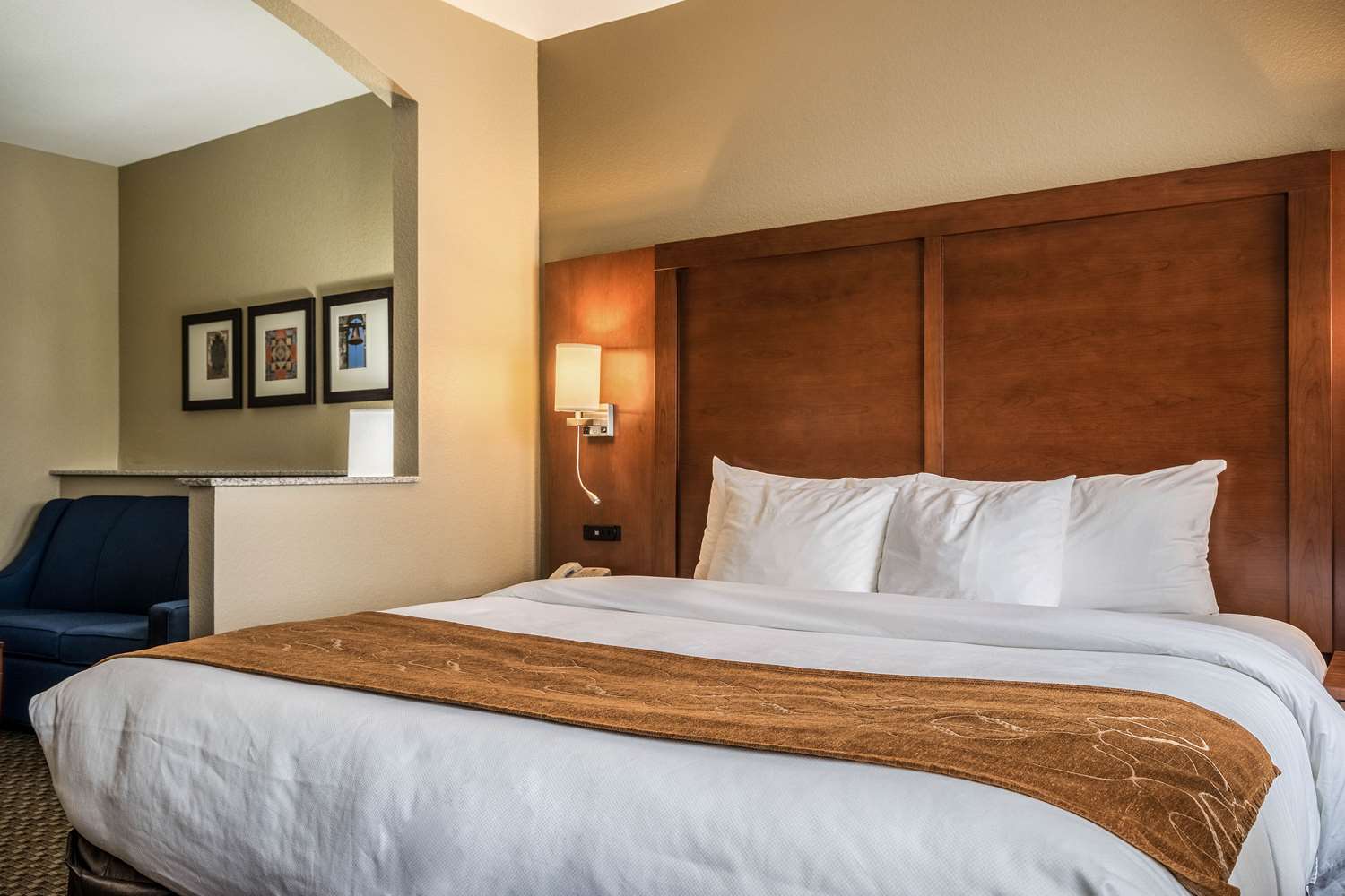 Suite, King Bed